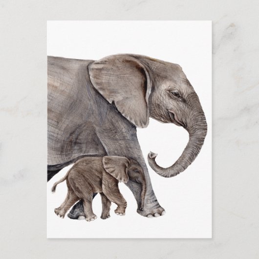 Olifant met Baby Olifant Briefkaart (Voorkant)