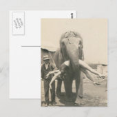 olifant met meisje in de mond briefkaart (Voorkant / Achterkant)
