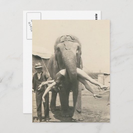 olifant met meisje in de mond briefkaart (Voorkant / Achterkant)