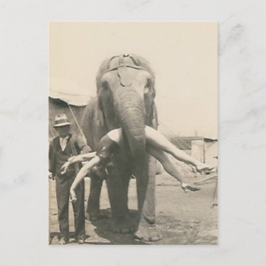 olifant met meisje in de mond briefkaart (Voorkant)