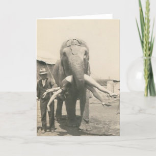 olifant met meisje in mondwenskaart kaart