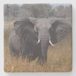 Olifant met oren uit. stenen onderzetter