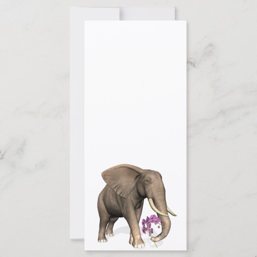 olifant met roze orchidee (Voorkant)