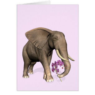 olifant met roze orchidee