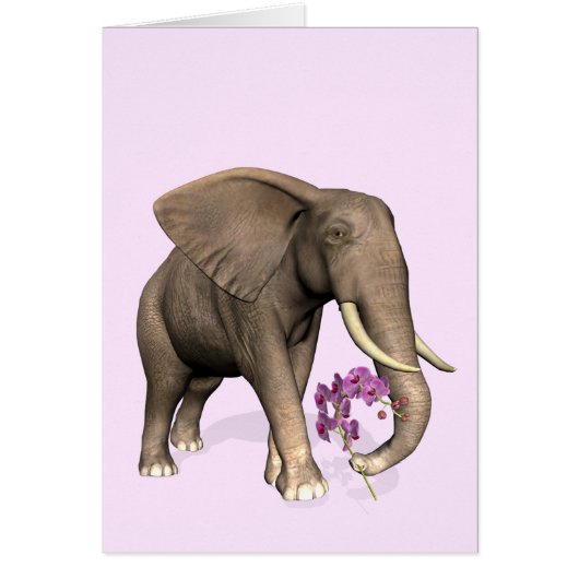 olifant met roze orchidee (Voorkant)