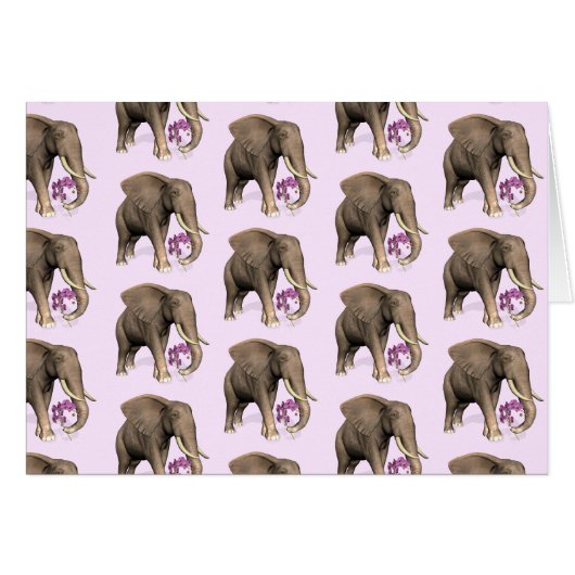 olifant met roze orchidee (Voorkant Horizontaal)