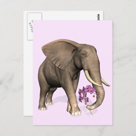 olifant met roze orchidee briefkaart (Voorkant / Achterkant)