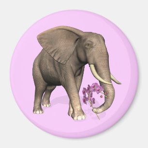 olifant met roze orchidee magneet