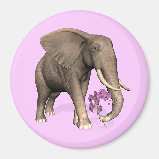 olifant met roze orchidee magneet (Voorkant)