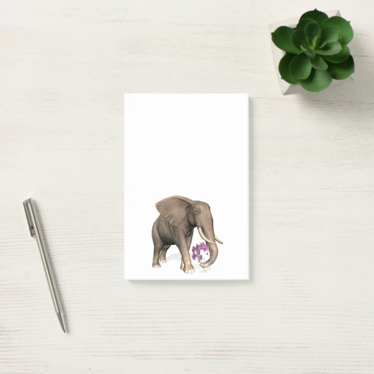 olifant met roze orchidee post-it® notes (Kantoor)