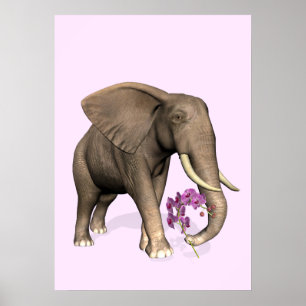 olifant met roze orchidee poster