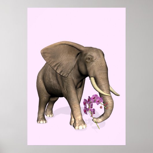olifant met roze orchidee poster (Voorkant)