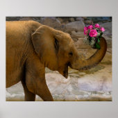 Olifant met Rozen Poster (Voorkant)