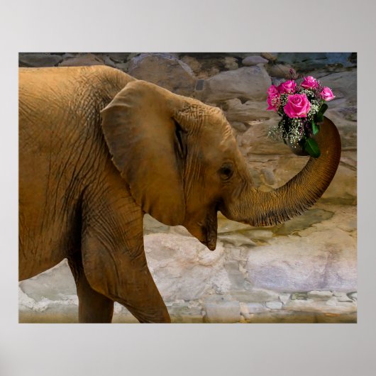 Olifant met Rozen Poster (Voorkant)