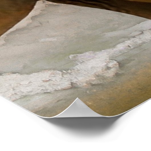 Olifant met Rozen Poster (Hoek)