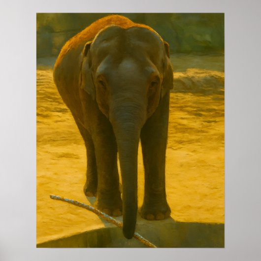 Olifant met tak bij Water's Edge Poster (Voorkant)