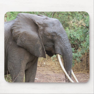 Olifant Mousepad Muismat