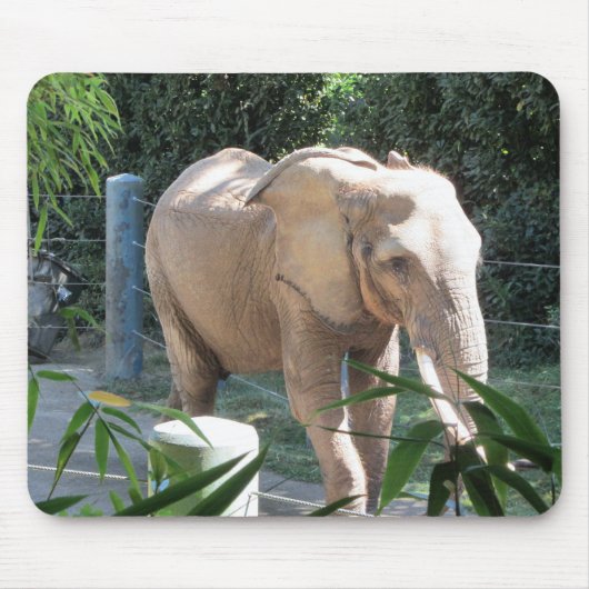 Olifant Muismat (Voorkant)