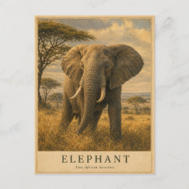 Olifant Oost-Afrikaanse Savanne VINTAGE Briefkaart