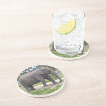 Olifant op landelijk pad