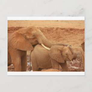 olifant op maat personaliseren doe-het-zelf jubile briefkaart