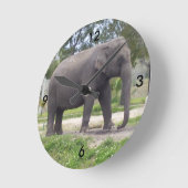 Olifant op Rustige Wandelroute Tijd Ronde Klok (Hoek)