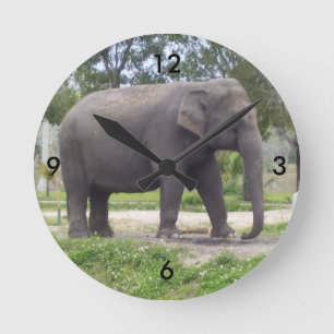Olifant op Rustige Wandelroute Tijd Ronde Klok