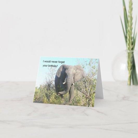 OLIFANT OP WEG NAAR CAMERA KAART (Voorkant)