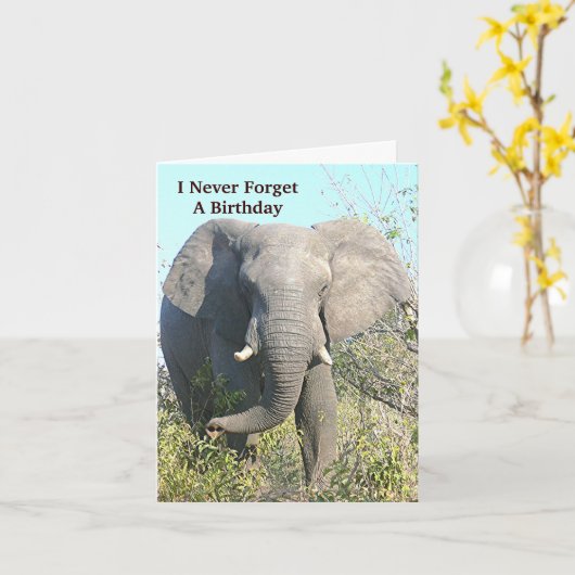 OLIFANT OP WEG NAAR CAMERA KAART (Gele Bloem)