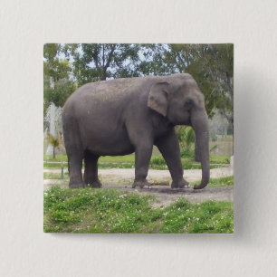Olifant op zachte bosgrond pad vierkante button 5,1 cm
