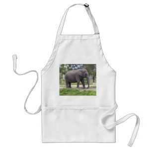 Olifant op zonnig pad in de weide standaard schort