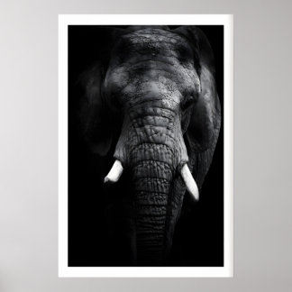 Olifant Portret Print, Zwart en Wit, Slagtanden Poster