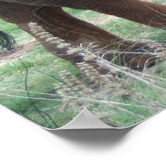 olifant poster (Hoek)