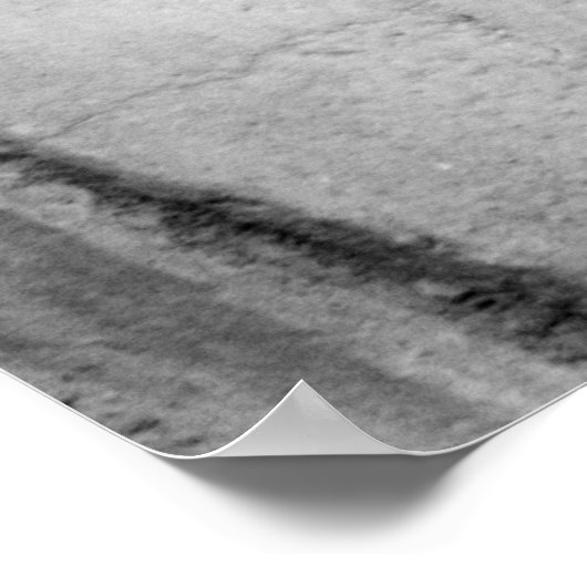 olifant poster (Hoek)