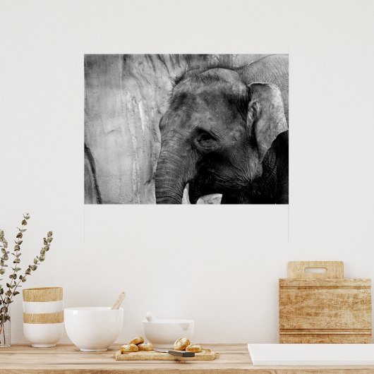 olifant poster (Keuken)