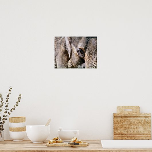 OLIFANT POSTER (Keuken)