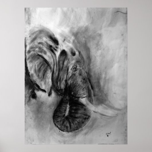 Olifant poster maat 18x24 (Voorkant)