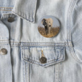 Olifant Ronde Button 5,7 Cm (In situ)