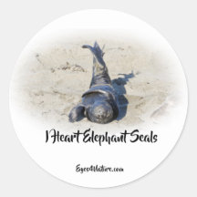 Olifant Seal pup sticker