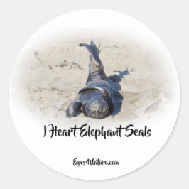 Olifant Seal pup sticker