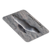 Olifant Seals bij Piedras Blancos Beach Magneet (Rechterzijde)