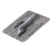 Olifant Seals bij Piedras Blancos Beach Magneet (Linkerzijde)