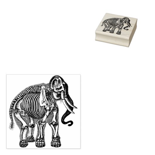 Olifant skelet botten rubberstempel (Gestempeld)