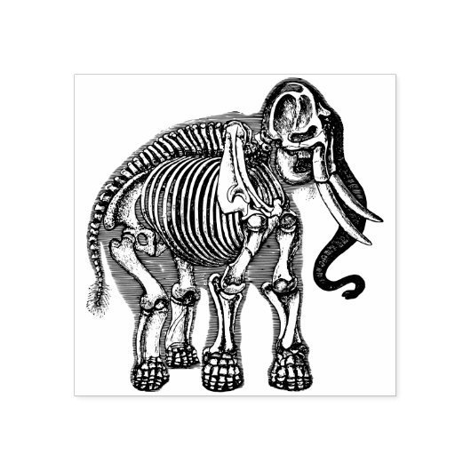 Olifant skelet botten rubberstempel (Afrduk)