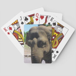 Olifant speelkaarten