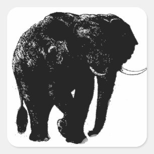 Olifant Square Sticker