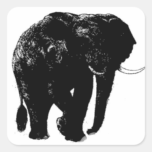 Olifant Square Sticker (Voorkant)