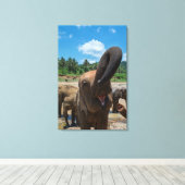 Olifant Sri Lanka Canvas Afdruk (Insitu (Houten vloer))