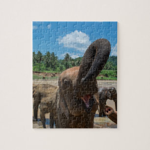 Olifant Sri Lanka Legpuzzel