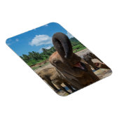 Olifant Sri Lanka Magneet (Rechterzijde)